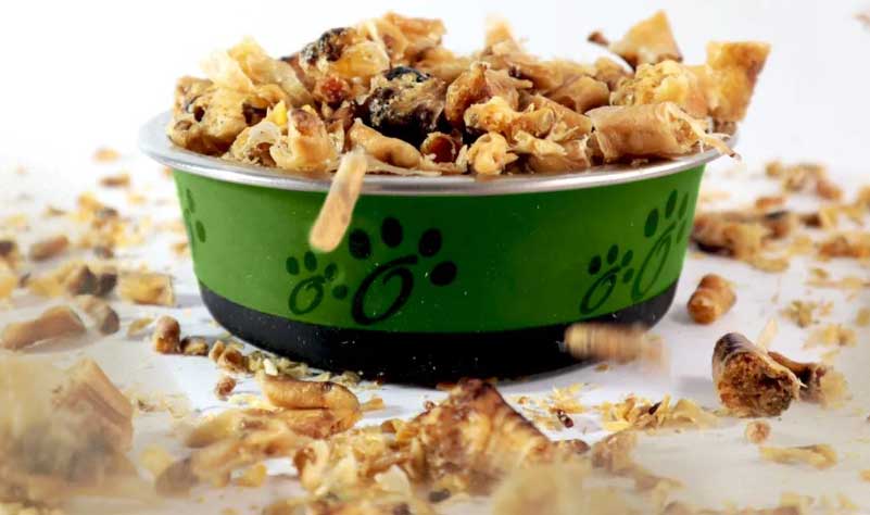 Snacks para perros producto saludable